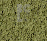 CP-25 - maslinasto zelena